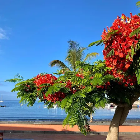 Casa Antonio - Sol * プラヤ・デ・サン・ファン