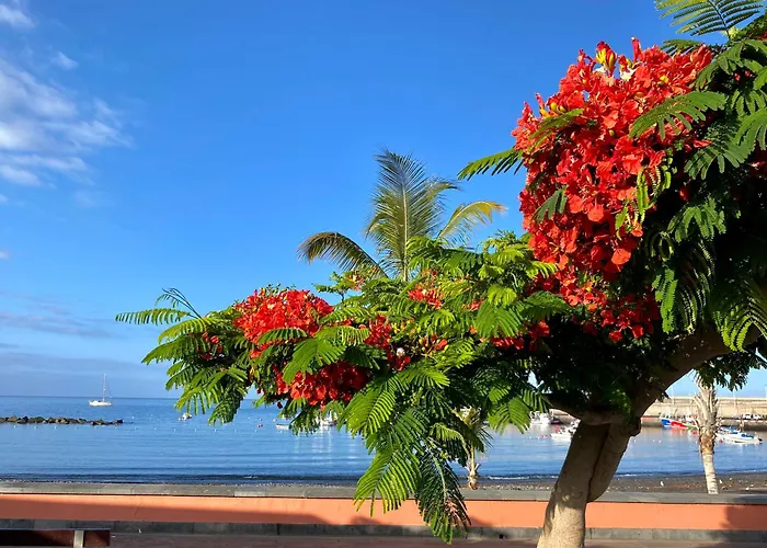 Casa Antonio - Sol * Playa de San Juan (Tenerife)